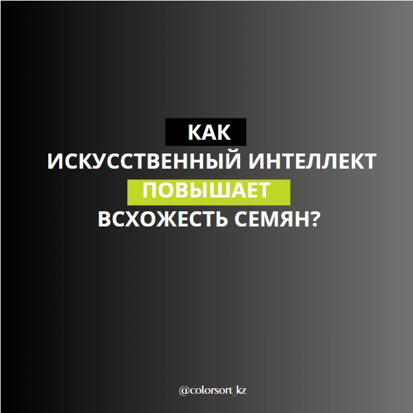 Как искусственный интеллект повышает всхожесть семян?